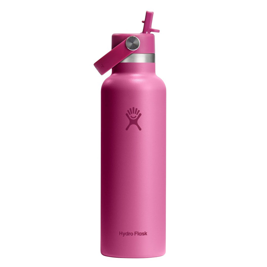 Hydro Flask Standard Mouth with Flex Straw Cap 21oz/621ml Reef