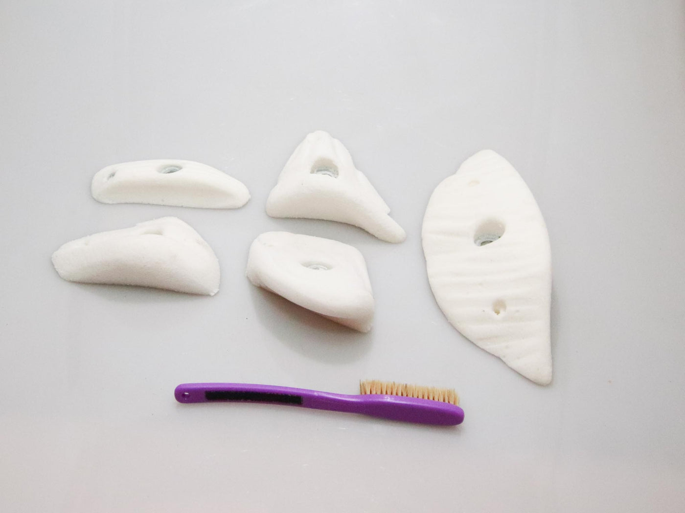 Rhino Holds Shelled Jug Set