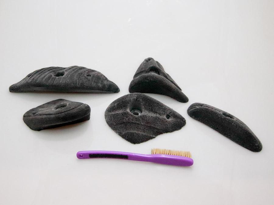 Rhino Holds Shelled Jug Set