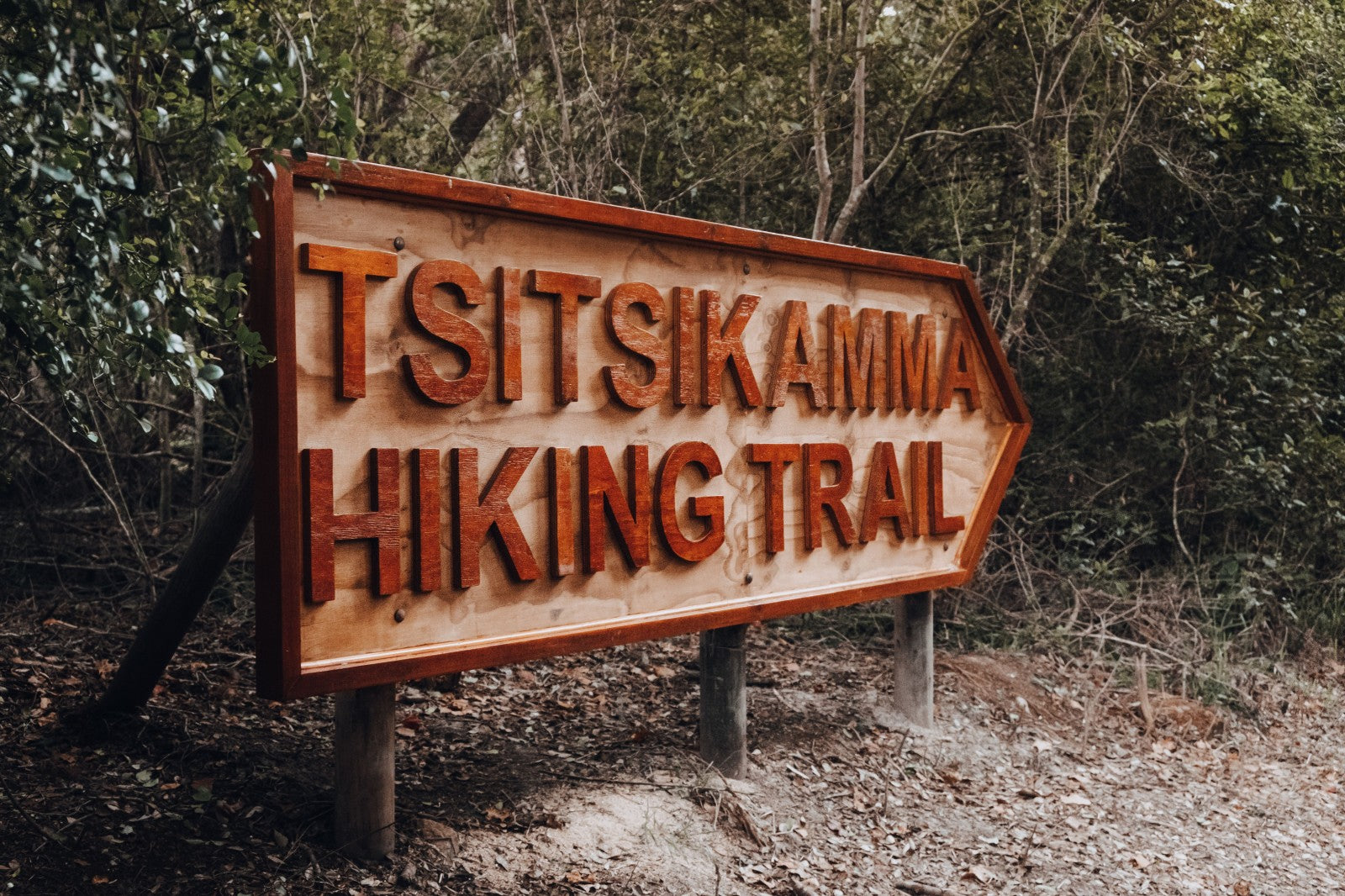 Hiking The Tsitsikamma Trail