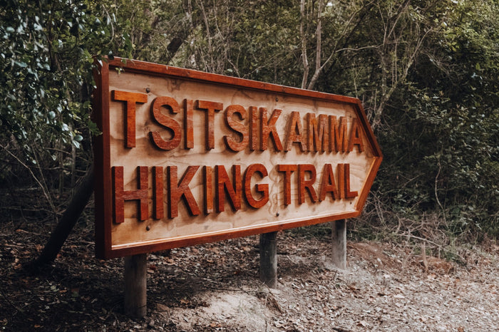 Hiking The Tsitsikamma Trail