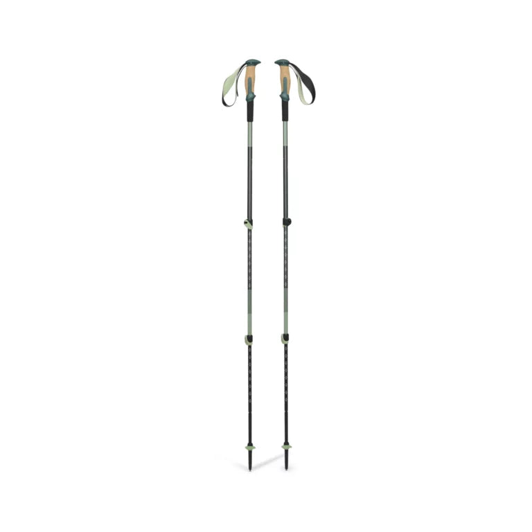 TRAIL VISTA SHOCK TREK POLES