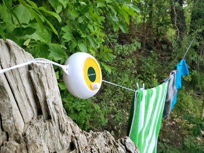 Coghlan’s Laundry Reel