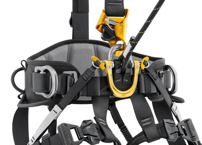 Petzl Astro International