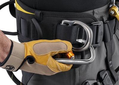 Petzl Astro International