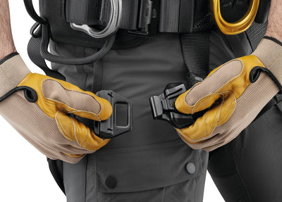 Petzl Astro International
