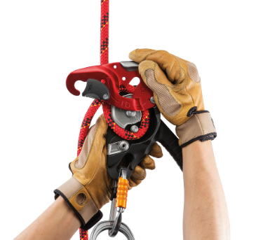 Petzl I’D Large