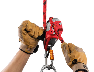 Petzl I’D Large