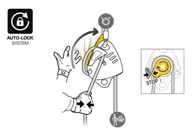 Petzl Maestro S
