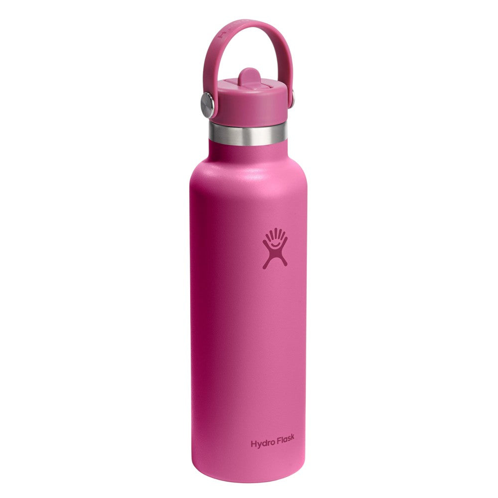 Hydro Flask Standard Mouth with Flex Straw Cap 21oz/621ml Reef