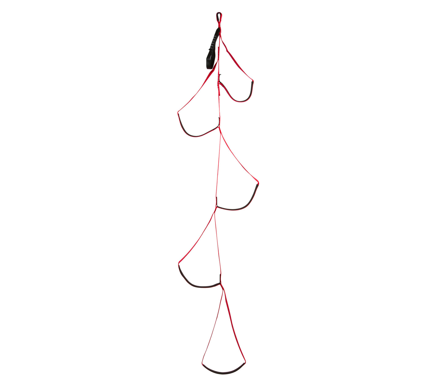 Black Diamond Alpine Aider