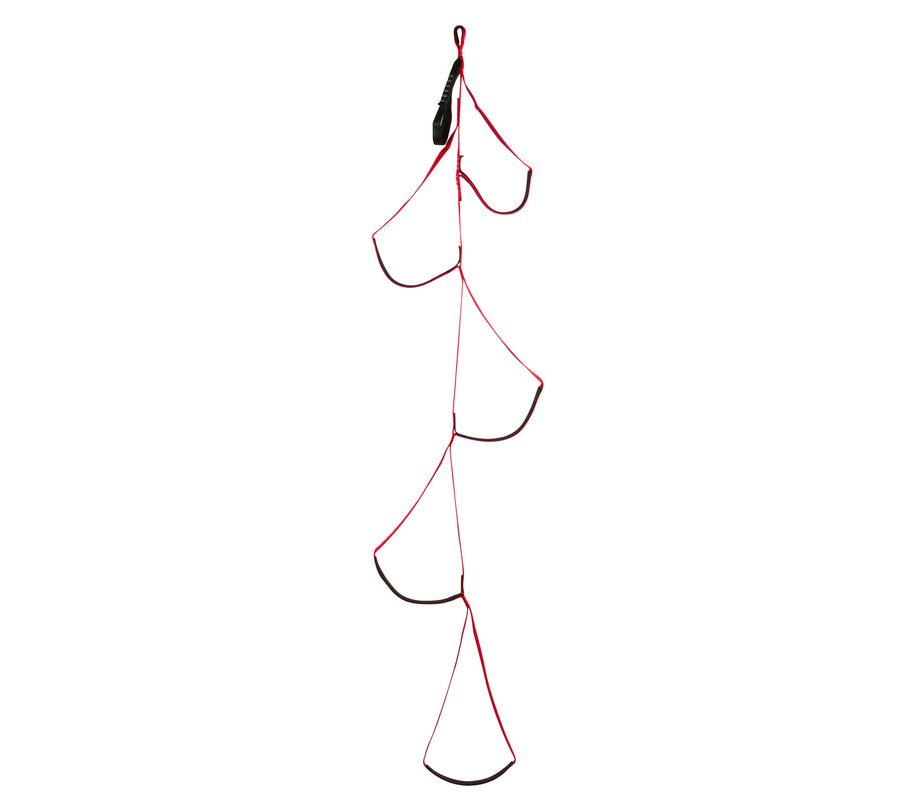 Black Diamond Alpine Aider