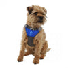 Mountain Paws Dog Harness