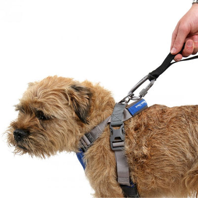 Mountain Paws Dog Harness