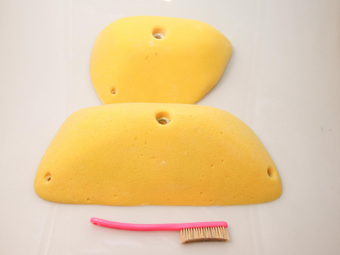 Rhino Holds Mega Comp Set