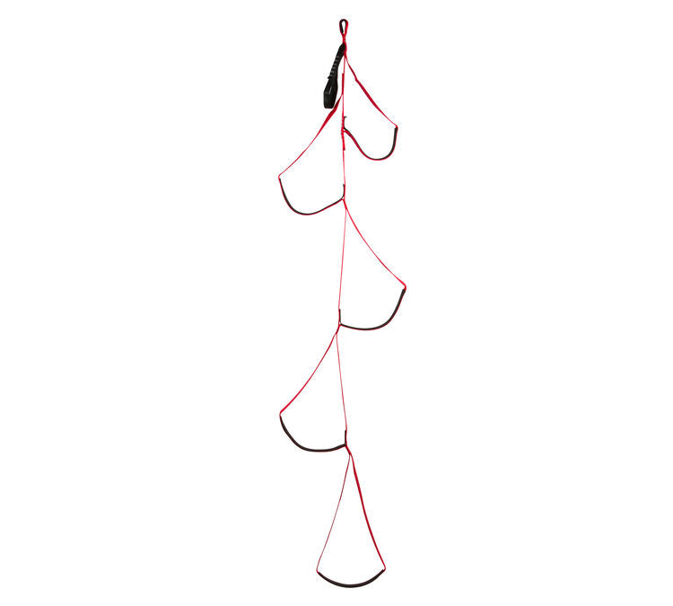Black Diamond Alpine Aider