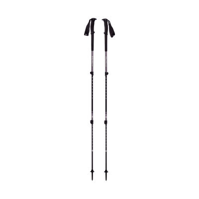 Black Diamond Trail Trek Poles Granite Pair - Main Image